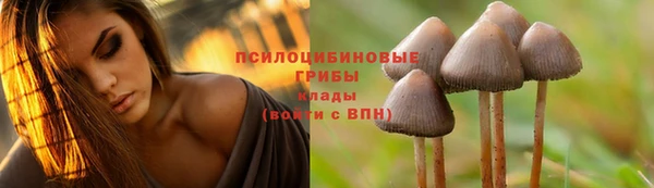 а пвп мука Алзамай